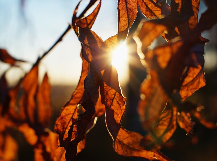 снято на ф2.8-5.6