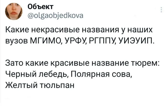 А ведь да - Странный юмор, Картинка с текстом, Скриншот, Тюрьма, Вуз, Название, Twitter