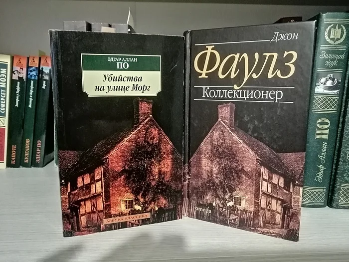 Интересно что это за дом? - Обложка, Книги, Странности, Экономия, Плохо