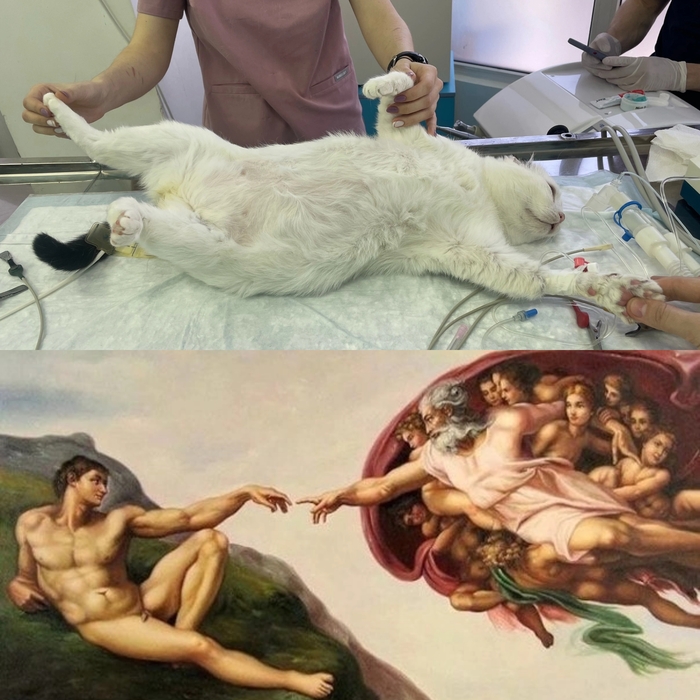       , , 