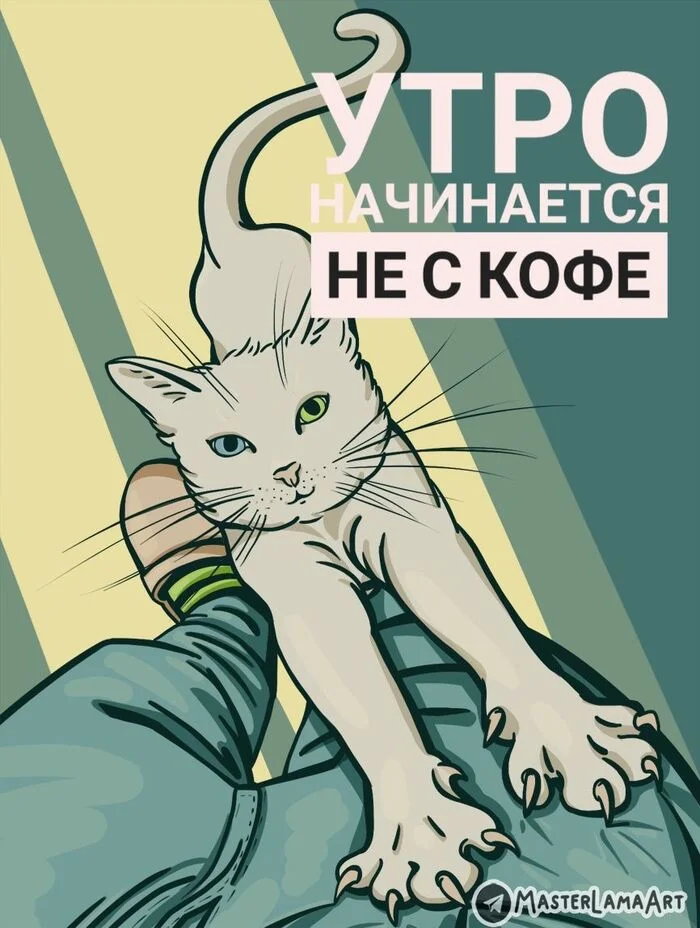 Morning - My, Picture with text, cat, Humor