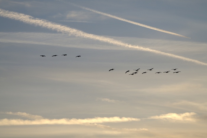 Петербургские закаты ...октябрь