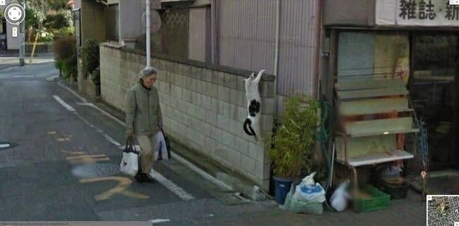 Some interesting photos from Google maps - The photo, Google maps, Unusual, Longpost