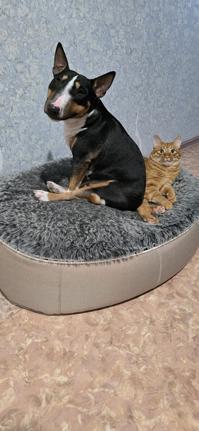 ,  ! , , , ,    , ,  , 