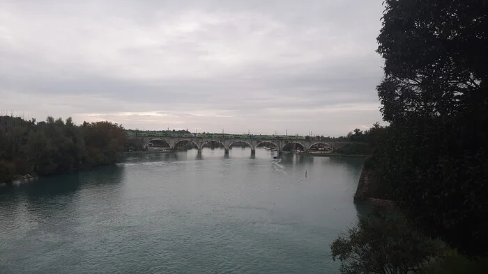 Sunday afternoon - My, Travels, Railway, Drive, Italy, The photo, Duck