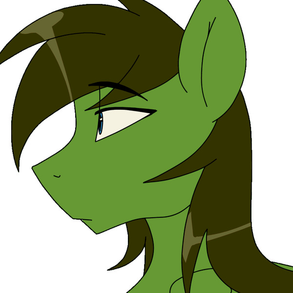 -  madragon