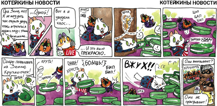 Котейкины Новости от 20.10.2024