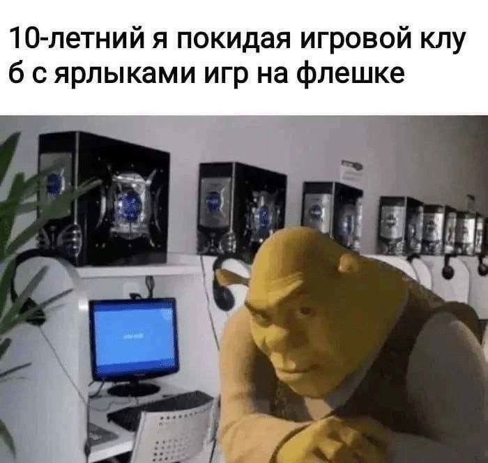 But disappointment awaited at home - Memes, Humor, Picture with text, Shrek, Computer Club, Childhood, Computer games, Repeat, Hardened