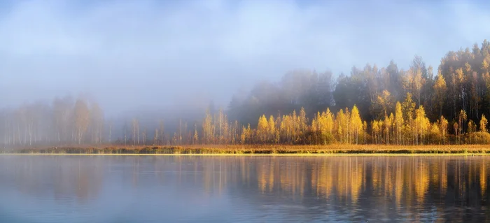 Туманное утро на озере - Озеро, Осень, Дикая природа, Красивый вид, Фотография, Пейзаж, Псковская область, Отражение