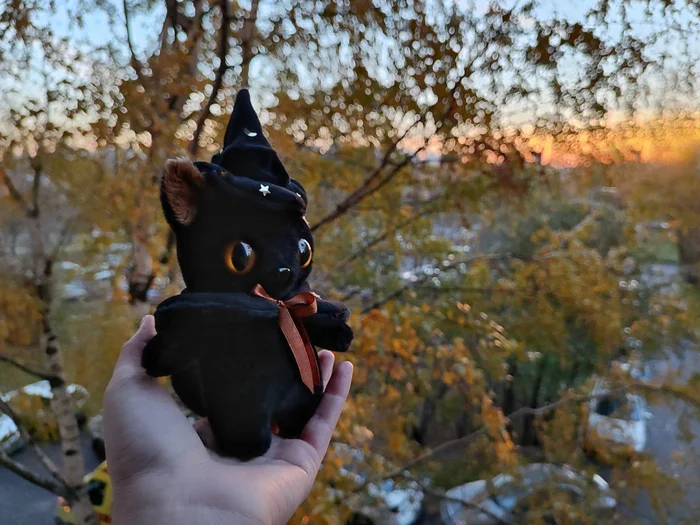 Plush black cat - My, Needlework, Needlework with process, Author's toy, Plush Toys, Soft toy, Black cat, cat, Halloween, Witches, Vertical video, Soundless, Longpost, Video