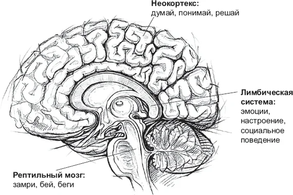 Эволюция угнетает получением выгоды! - Моё, Психология, Ум, Эволюция, Выгода, Деньги, Точка зрения, Мнение, Длиннопост