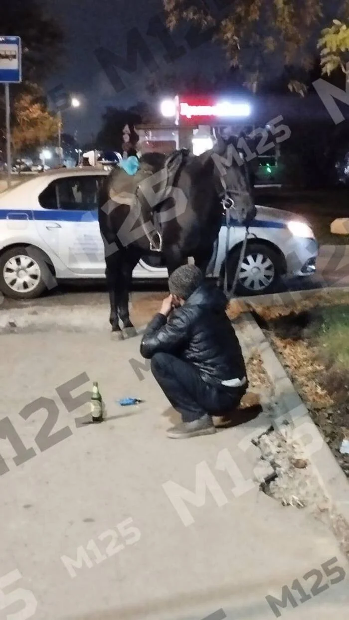 A horse was forgotten in Brateevo - My, Moscow, Fight for survival, Horses, horsemeat, Dormitory area, Oleg gazmanov, Lube, Alcoholics, Brateevo, Drunk, Animal Rescue, Homeless animals, Foal, The Humpbacked Horse, Gypsies, The rescue, Longpost