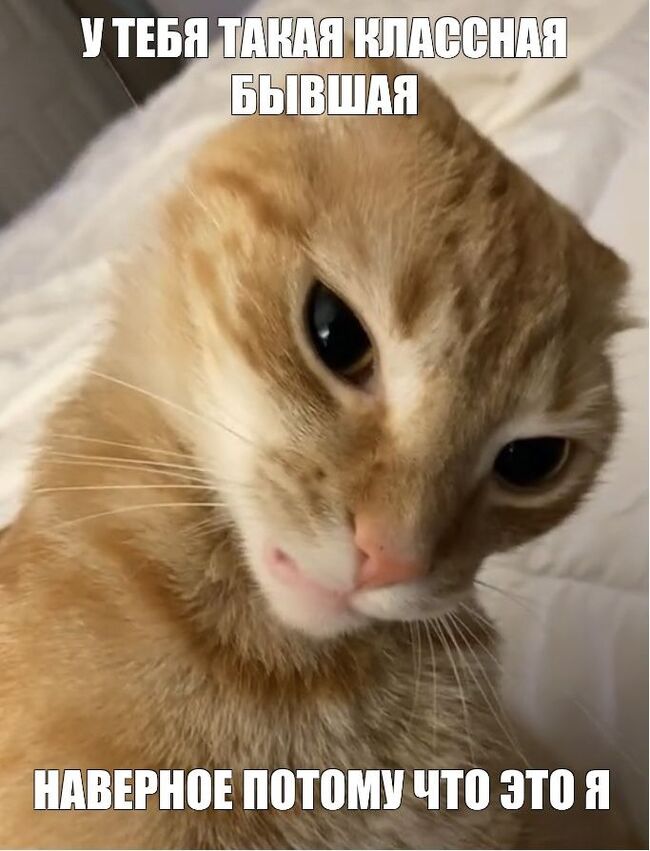 �� ���� ������