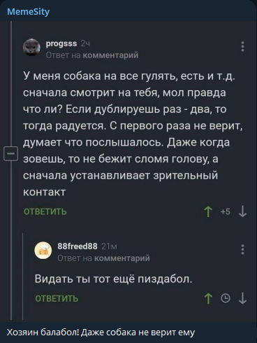 Хозяин балабол! Даже собака не верит ему! - Балабол, Врун, Хозяин, Собака, Комментарии, Картинка с текстом, Мемы, Юмор, Telegram (ссылка), Зашакалено, Комментарии на Пикабу, Мат, Скриншот, Повтор