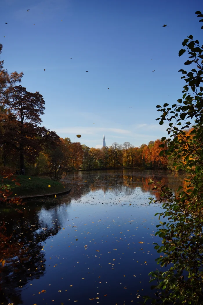 Autumn in Saint Petersburg - My, Saint Petersburg, Nature, The photo, Travel across Russia, Travels