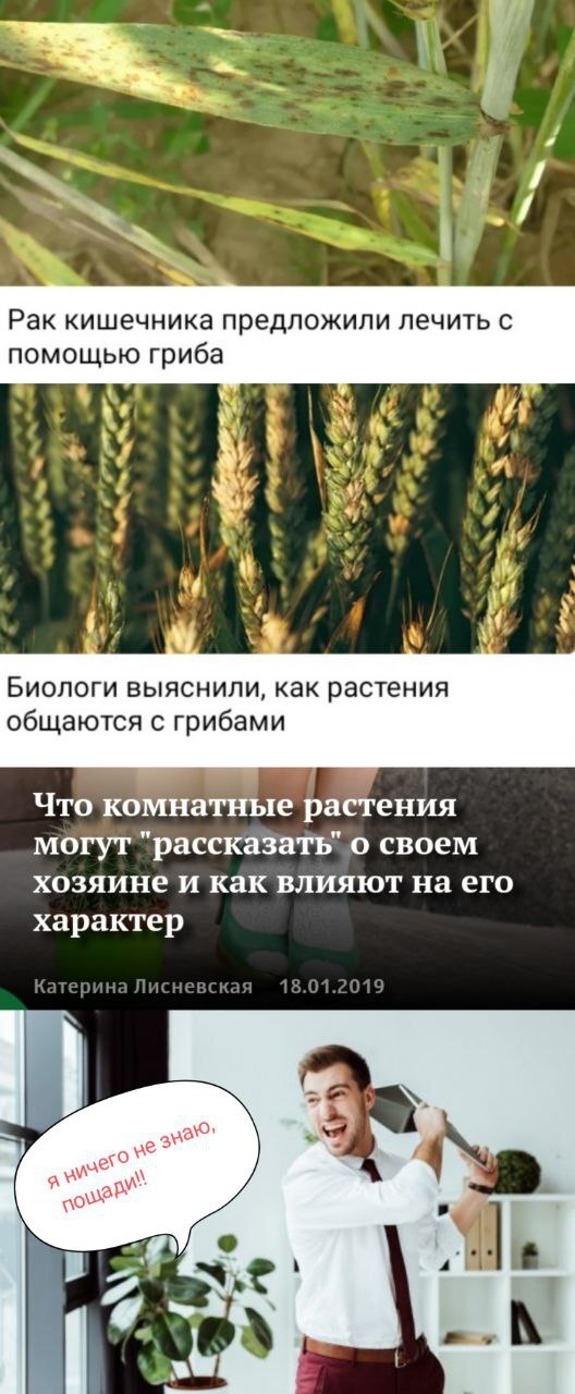       , , ,  , , 