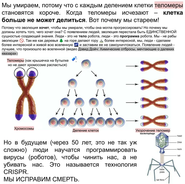 Мой внук написал как люди появились во вселенной 4 - Моё, Наука и жизнь, Наука, Религия, Критическое мышление, Атеизм