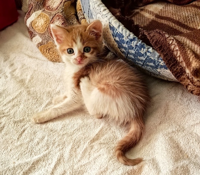      , , ,   ,  ,  ,   , , ,  , 
