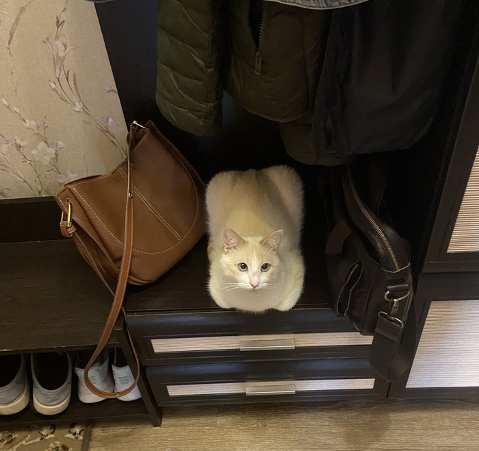 Компактненько