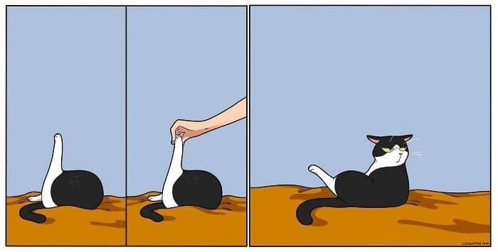     )))