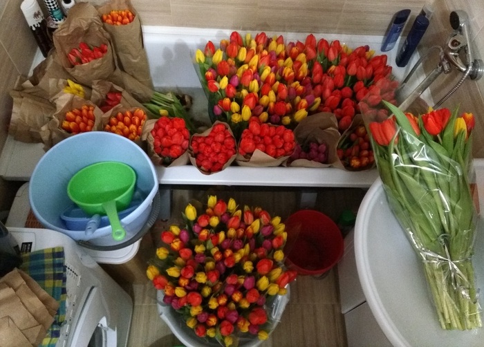 �� ������� ������