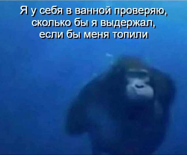  ))