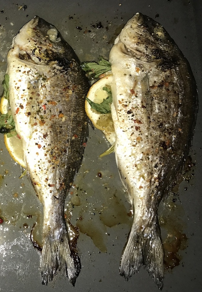 ������������ ������ �������. ������� �������������