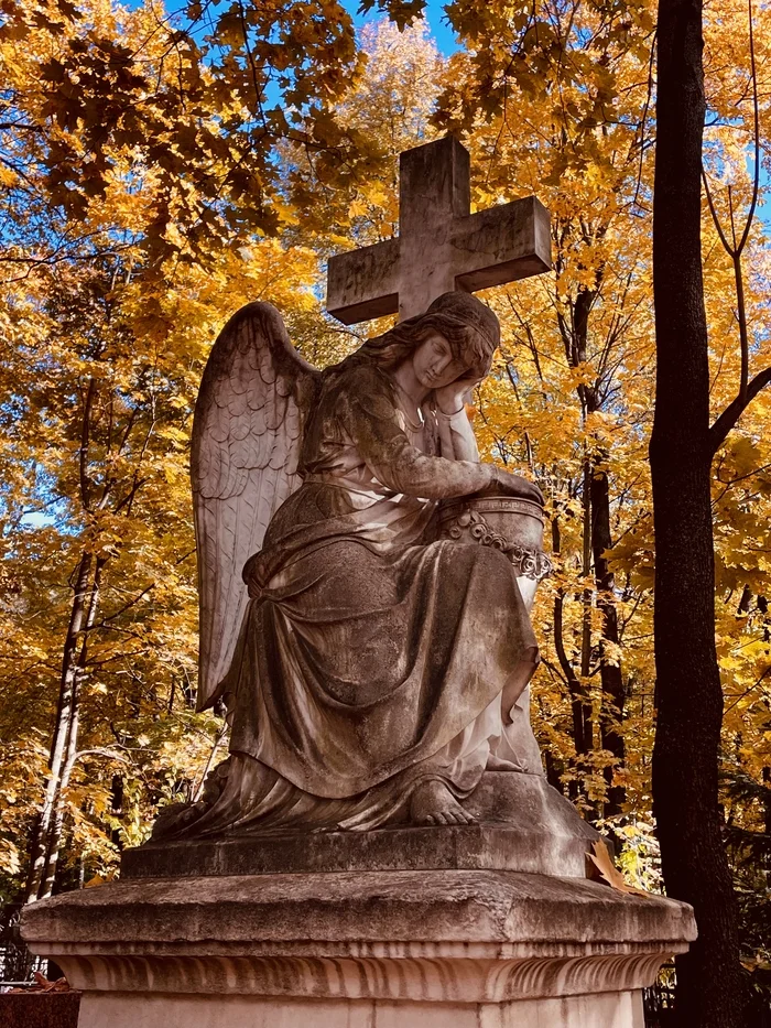 Autumn at Vvedenskoye Cemetery - My, The photo, Mobile photography, Moscow, Cemetery, Longpost