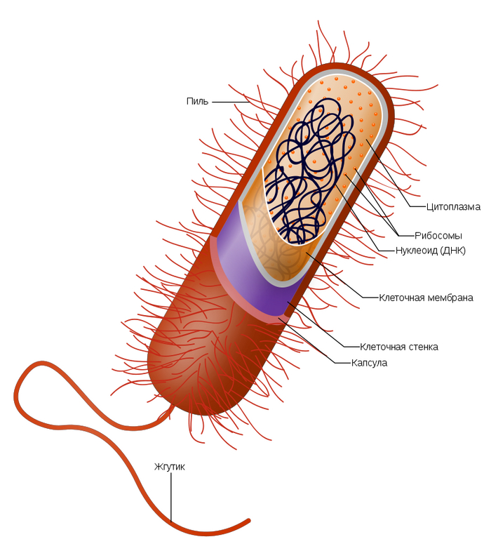 ��� �������� ������������� ������