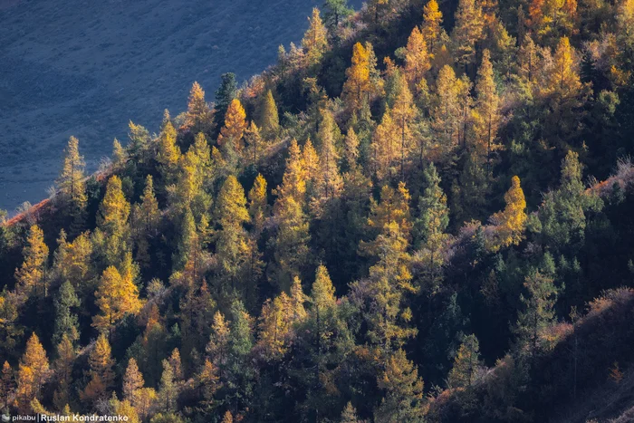 Valley of the Chulyshman River, Altai Mountains - My, The photo, Canon, Dji, Aerial photography, Altai Republic, Katu-Yaryk, Video, Video VK, Longpost