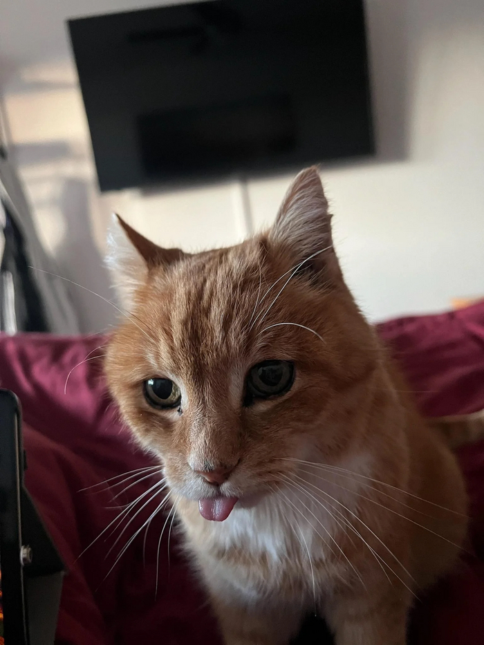 �������