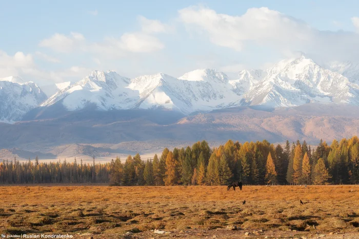 Горный Алтай - Моё, Фотография, Canon, Республика Алтай, Осень, Видео, Видео вк, Длиннопост