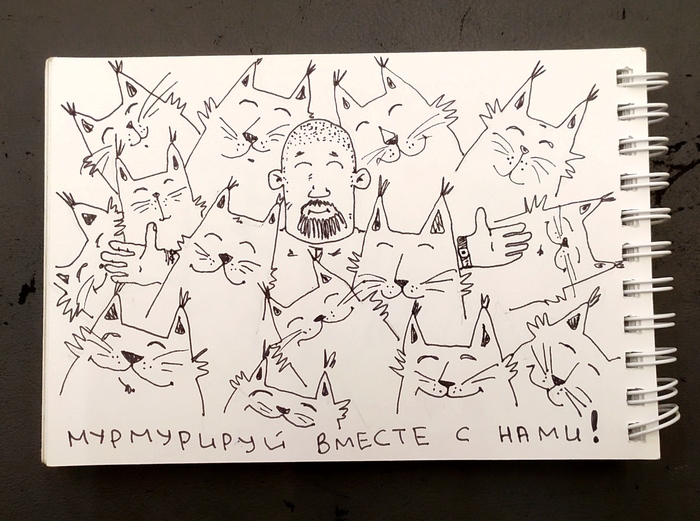 ����������