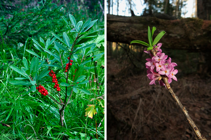 ������������ ������������