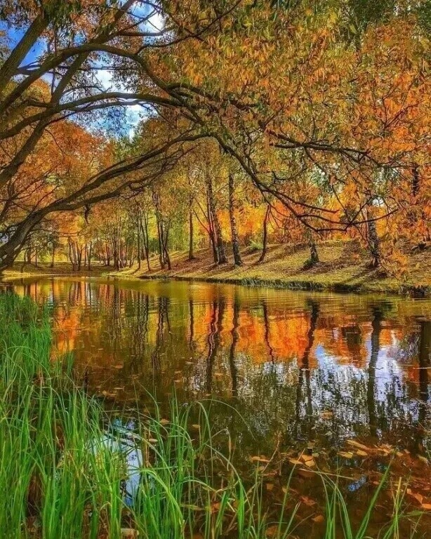 Очей очарованье