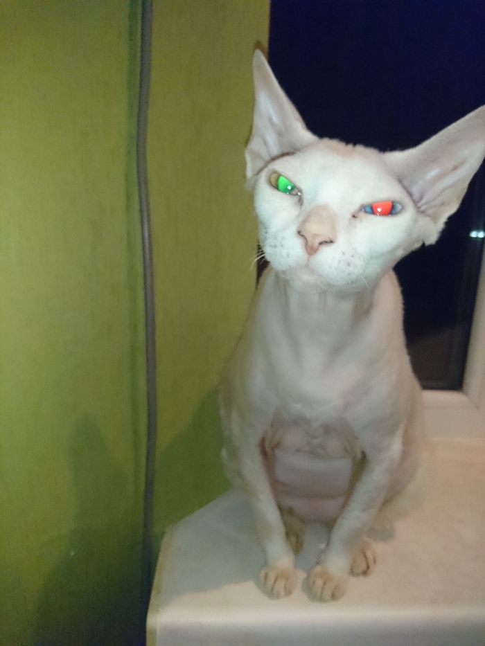 � ��� ������ � �� � ������.