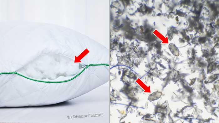 ������� ����� ������ ����������� �������.