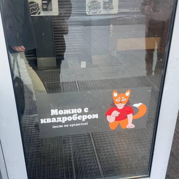     ,      ?
