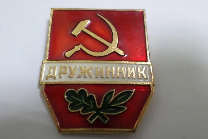 USSR badges squad member - Icon, the USSR, Vigilantes