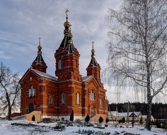 Задонск. Вознесенский собор - Моё, Фотография, Задонск, Липецкая область, Собор, Январь