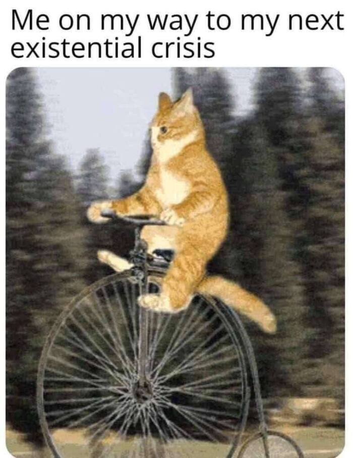 Больше котиков и психологии <a href="https://pikabu.ru/story/yekzistentsialnyiy_krizis_11940059?u=https%3A%2F%2Ft.me%2Ftyvporadke%2F139&t=%D0%B2%20%C2%AB%D0%A1%D0%BE%D0%B2%D0%B5%D1%89%D0%B0%D0%BD%D0%B8%D0%B8%20%D1%81%20%D1%82%D0%B0%D1%80%D0%B0%D0%BA%D0%B0%D0%BD%D0%B0%D0%BC%D0%B8%C2%BB&h=08da3d9ade25b5af86174cdf7c29241067cbe1b6" title="https://t.me/tyvporadke/139" target="_blank" rel="nofollow noopener">в «Совещании с тараканами»</a>