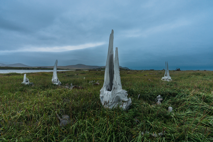 �������, �� ��� ����� ������� ����������