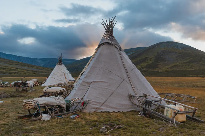 Moving every week - Travels, Nature, Relocation, North, Yamal, Travel across Russia, The nature of Russia, Tundra, Telegram (link)