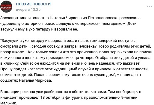 Nuance - VKontakte (link), Link, Negative, Money, Radical animal protection, Screenshot, Stray dogs