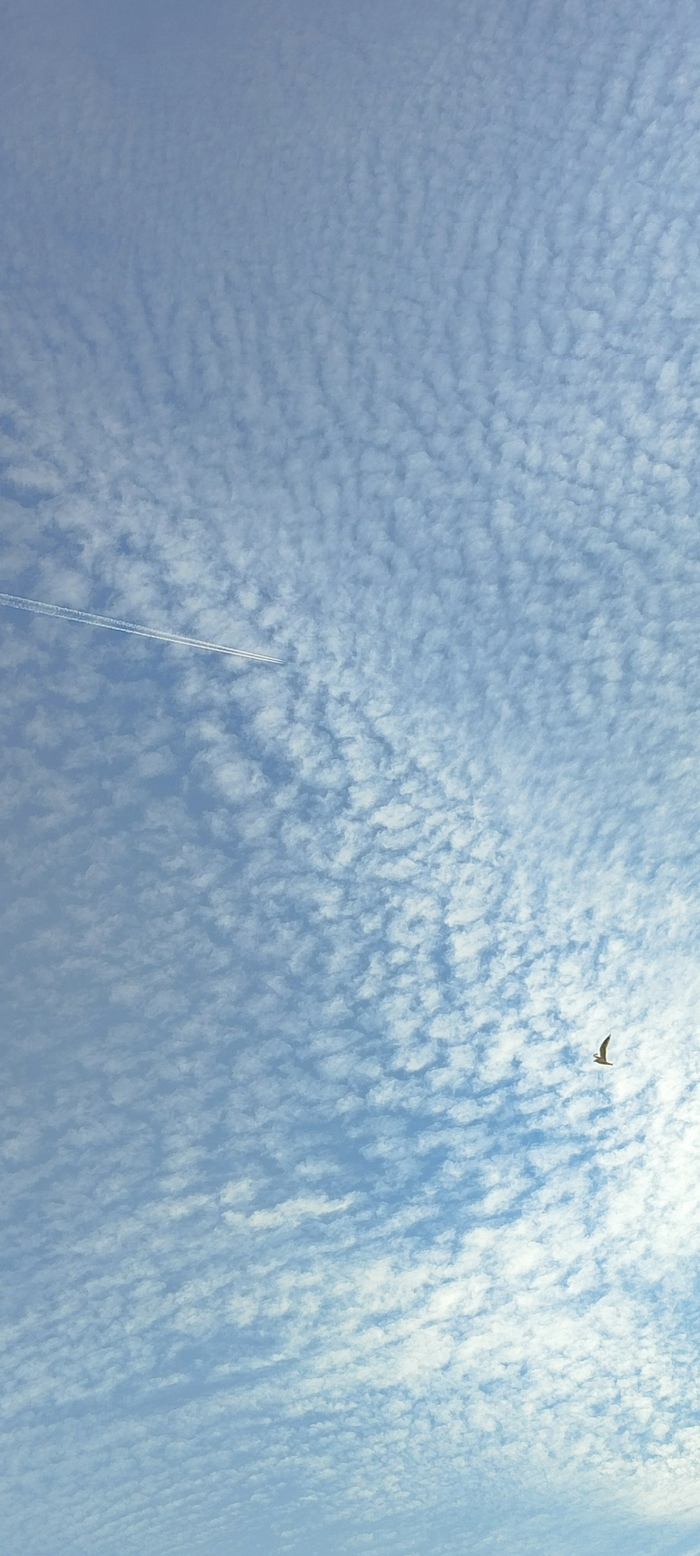 ������ ������, ������ �������, ������ �����