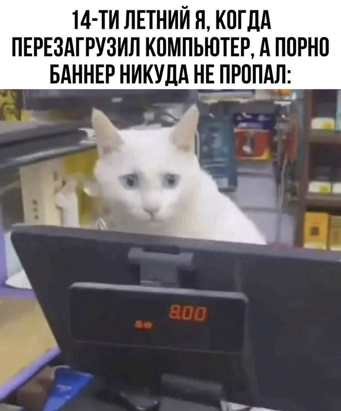 *,        ,   . ,   *