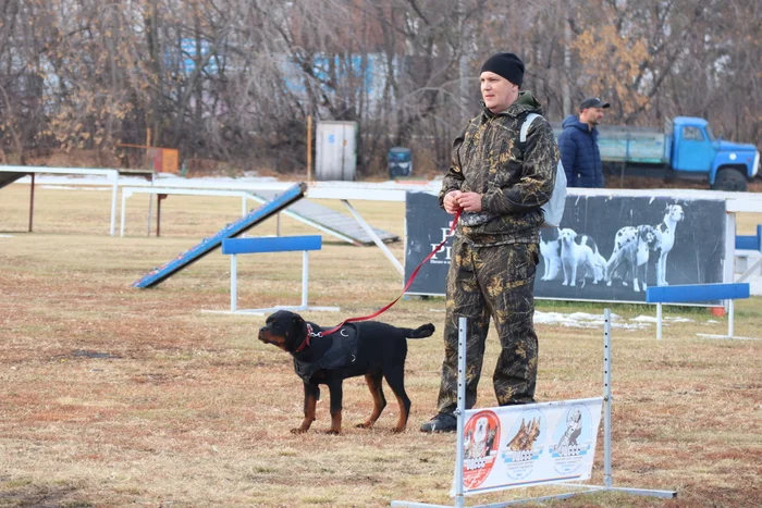 Дрессировка собак в Омске - ОЦССС 19 - 10 - 2024 - Собака, Собачники, Щенки, Омск, Дрессировка, Оцссс, Друг, Забота, Длиннопост