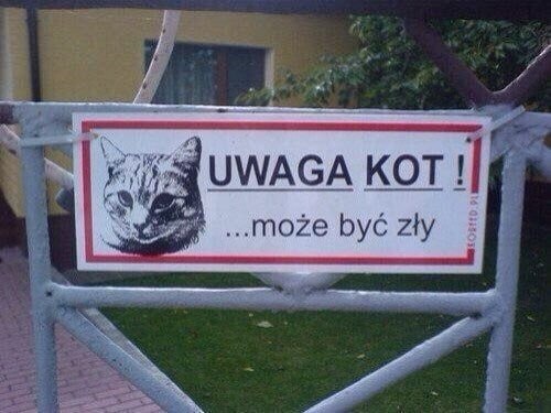 Wam budzet kycb - cat, Fluffy, Humor, Funny animals, Polish language, Warning, Kus, Табличка, Without translation, Hardened