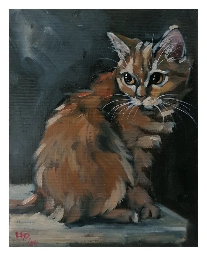 Redhead - My, cat, Artist, Oil painting, Pets, Painting, Etude, Author's painting, Animalistics, Butter, Canvas, Redheads, Painting, Creation