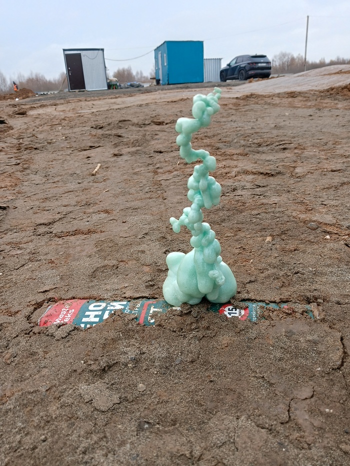 Ура, я открыл новое растение